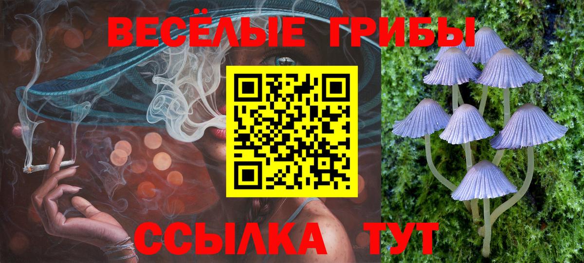 Энгельс  Псилоцибиновые грибы MAGIC MUSHROOMS  Вход с VPN 