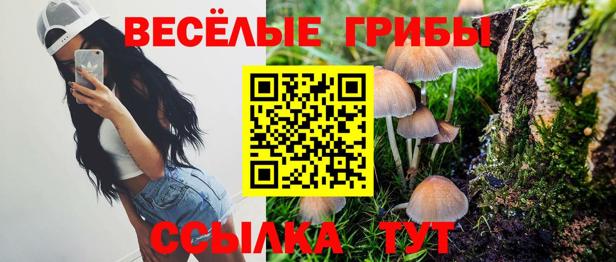 Галлюциногенные грибы прущие грибы Энгельс